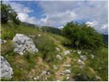 Rifugio Pelizzo - Matajur